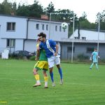VIDEO: Plánský Sokol doma opět neinkasoval. Druhou výhru v sezoně obstarali Trčka s Novotným