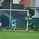 VIDEO: Plánský Sokol doma opět neinkasoval. Druhou výhru v sezoně obstarali Trčka s Novotným