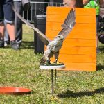 Myslivci, kluby i hasiči lákali davy. Sobotní program Bartolomějských slavností patřil rodinám