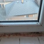 Nelíbí se matka, odnese to dítě? Krajský úřad prověřuje postup milevské radnice