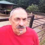 Kmotři herečka Morávková a skladatel Malásek pokřtili v Zoo Dvorec tříměsíční zebří slečnu na Ziggy