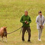 Dovednostní soutěž v Žitné prověřila souhru koně a člověka. Dvojice se proplétaly nejen mezi stromy