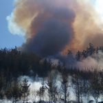 Rozsáhlý požár lesa u Lnář: Hasiči jej dostali během noci pod kontrolu, zásah pokračuje