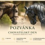 Chovatelský den v Písku nabídne přehlídku špičkových koní i velkou jezdeckou čtverylku