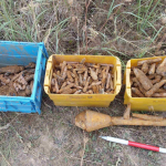 Archeologové s pyrotechniky se u Budějovic zapotili. Našli tisíce kusů munice