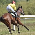 Netolické dostihy jsou jeho dítě. Osmdesátiletý Karel Kučera drží tradici už osmadvacet let