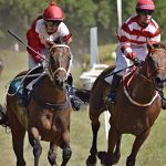 Netolické dostihy jsou jeho dítě. Osmdesátiletý Karel Kučera drží tradici už osmadvacet let