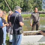 Rybníky na Třeboňsku dál vysychají, deště nepomohly. Kdy budou podzimní výlovy?