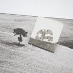 Blatná patří fotografii. Fotofestival pokračuje také v neděli