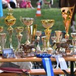 VIDEO: Cirkusplac se proměnil ve sportovní mraveniště. Akce Poznej sporty přilákala stovky dětí