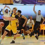 Sršni po přestávce smetli Hradec, nastříleli mu 111 bodů