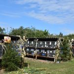 Výstava drobného zvířectva v Táboře přilákala chovatele i veřejnost. Návštěvníci zvolili za nejkrásnější zvíře prase