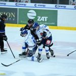VIDEO: Hokejisté Tábora otočili proti Havířovu v poslední třetině. Hamarovi svěřenci se po těsném vítězství vyhoupli na 3. místo