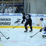 VIDEO: Hokejisté Tábora otočili proti Havířovu v poslední třetině. Hamarovi svěřenci se po těsném vítězství vyhoupli na 3. místo