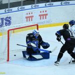 VIDEO: Hokejisté Tábora otočili proti Havířovu v poslední třetině. Hamarovi svěřenci se po těsném vítězství vyhoupli na 3. místo