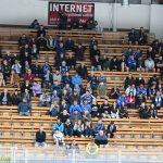 VIDEO: Hokejisté Tábora otočili proti Havířovu v poslední třetině. Hamarovi svěřenci se po těsném vítězství vyhoupli na 3. místo