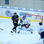 VIDEO: Hokejisté Tábora otočili proti Havířovu v poslední třetině. Hamarovi svěřenci se po těsném vítězství vyhoupli na 3. místo