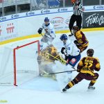 VIDEO: Kohouti museli při domácí premiéře dvakrát dotahovat. K prvnímu vítězství pomohl hattrickem Pavel Novák