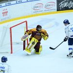 VIDEO: Kohouti museli při domácí premiéře dvakrát dotahovat. K prvnímu vítězství pomohl hattrickem Pavel Novák
