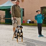 Dehonestace reportéra, aneb Jak jsem ve Zbytinách bojoval o předposlední místo