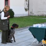 Královská disciplína s liškou i vodní práce. Memoriál Luďka Hejného nabídl vrchol kynologie