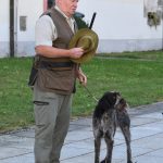 Královská disciplína s liškou i vodní práce. Memoriál Luďka Hejného nabídl vrchol kynologie
