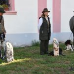 Královská disciplína s liškou i vodní práce. Memoriál Luďka Hejného nabídl vrchol kynologie