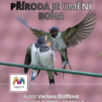 Na co se můžete těšit v milevské kultuře na začátku podzimu?
