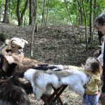 Cesta pohádkovým lesem přilákala rekordní počet dětí, na trasu vyrazilo 494 dobrodruhů