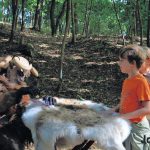 Cesta pohádkovým lesem přilákala rekordní počet dětí, na trasu vyrazilo 494 dobrodruhů
