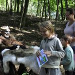 Cesta pohádkovým lesem přilákala rekordní počet dětí, na trasu vyrazilo 494 dobrodruhů
