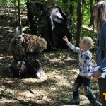 Cesta pohádkovým lesem přilákala rekordní počet dětí, na trasu vyrazilo 494 dobrodruhů