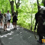 Cesta pohádkovým lesem přilákala rekordní počet dětí, na trasu vyrazilo 494 dobrodruhů