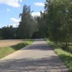 U Chýnova srazilo auto psa. Policisté pátrají po majiteli zvířete