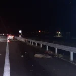 Divoká prasata vběhla do cesty řidičům na Táborsku a Budějovicku. Jeden muž se vážně zranil