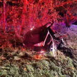Řidič mezi Číměří a Novou Bystřicí rozpůlil auto o strom. Náraz nepřežil