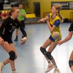 Písecké házenkářky vybojovaly na domácí turnaji stříbro