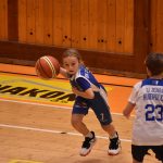 Basketbalové naděje zaplnily strakonickou halu