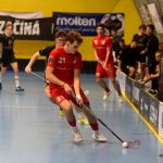 Cestu pohárem píseckých florbalistů ukončila Plzeň