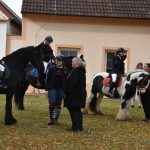 K Hubertově jízdě v Zálší patří od letoška i vozatajský Memoriál Karla Dvořáka