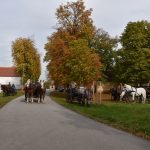 K Hubertově jízdě v Zálší patří od letoška i vozatajský Memoriál Karla Dvořáka
