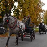 K Hubertově jízdě v Zálší patří od letoška i vozatajský Memoriál Karla Dvořáka