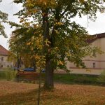 K Hubertově jízdě v Zálší patří od letoška i vozatajský Memoriál Karla Dvořáka
