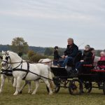 K Hubertově jízdě v Zálší patří od letoška i vozatajský Memoriál Karla Dvořáka