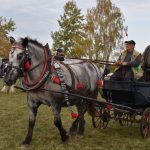 K Hubertově jízdě v Zálší patří od letoška i vozatajský Memoriál Karla Dvořáka