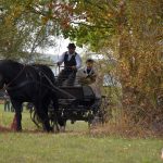 K Hubertově jízdě v Zálší patří od letoška i vozatajský Memoriál Karla Dvořáka