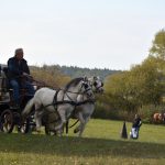K Hubertově jízdě v Zálší patří od letoška i vozatajský Memoriál Karla Dvořáka