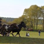 K Hubertově jízdě v Zálší patří od letoška i vozatajský Memoriál Karla Dvořáka
