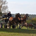 K Hubertově jízdě v Zálší patří od letoška i vozatajský Memoriál Karla Dvořáka