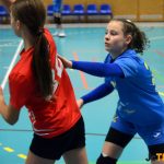 Milevsko hostí starší žákyně z celé republiky i Slovenska. Zítra MilCup 2026 vyvrcholí
